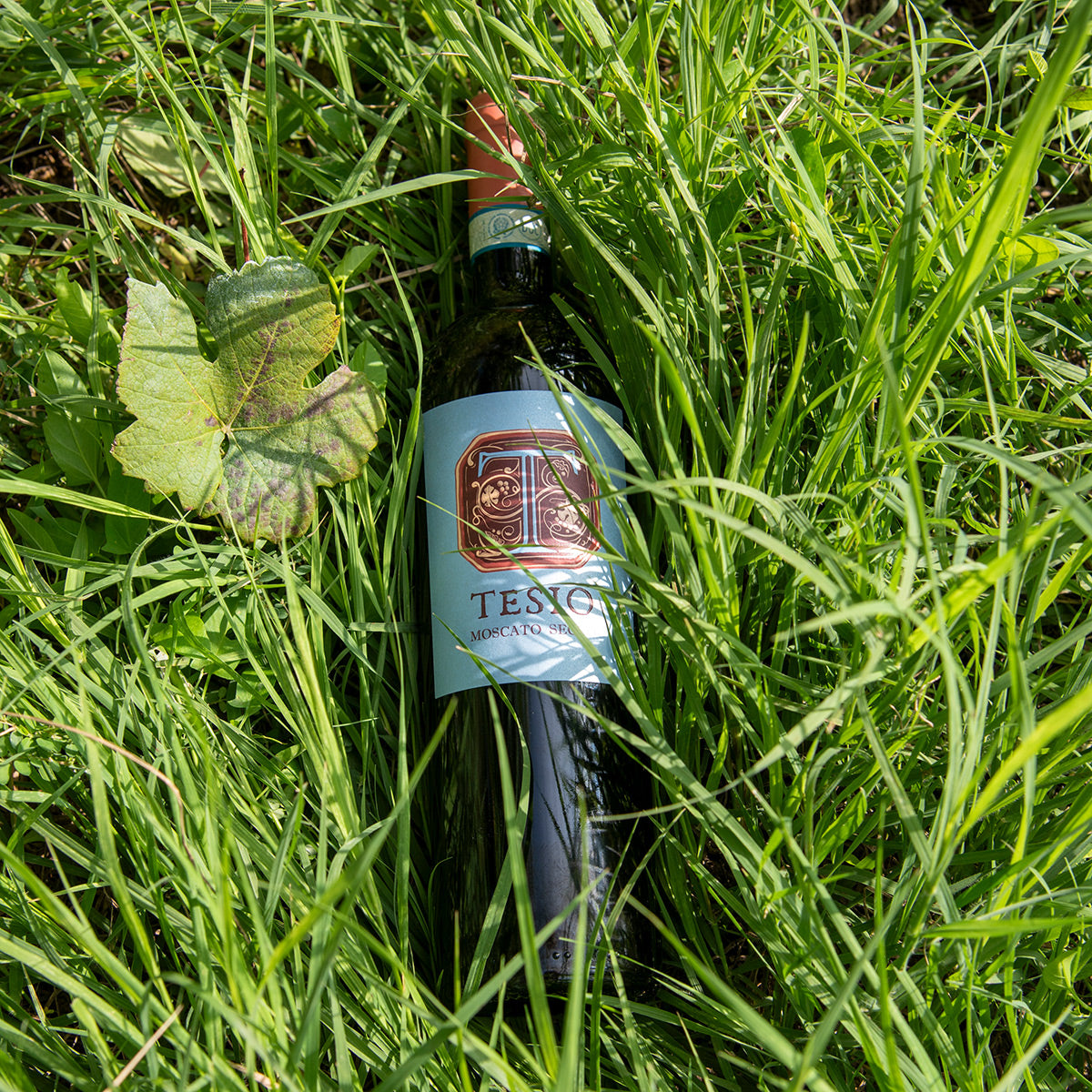 Vini da picnic e serate d’estate: i nostri consigli - Poderi Tesio