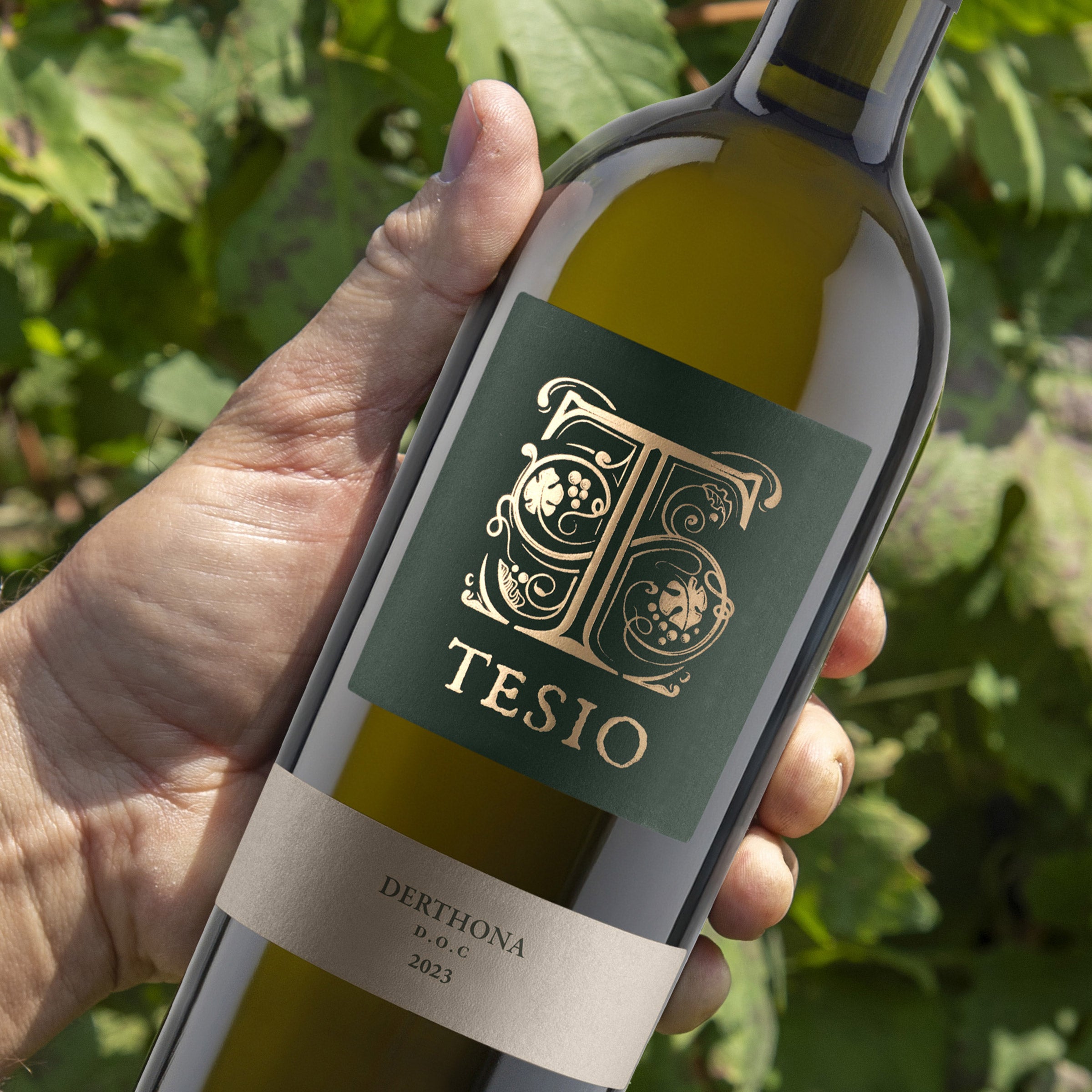 Derthona DOC - Poderi Tesio