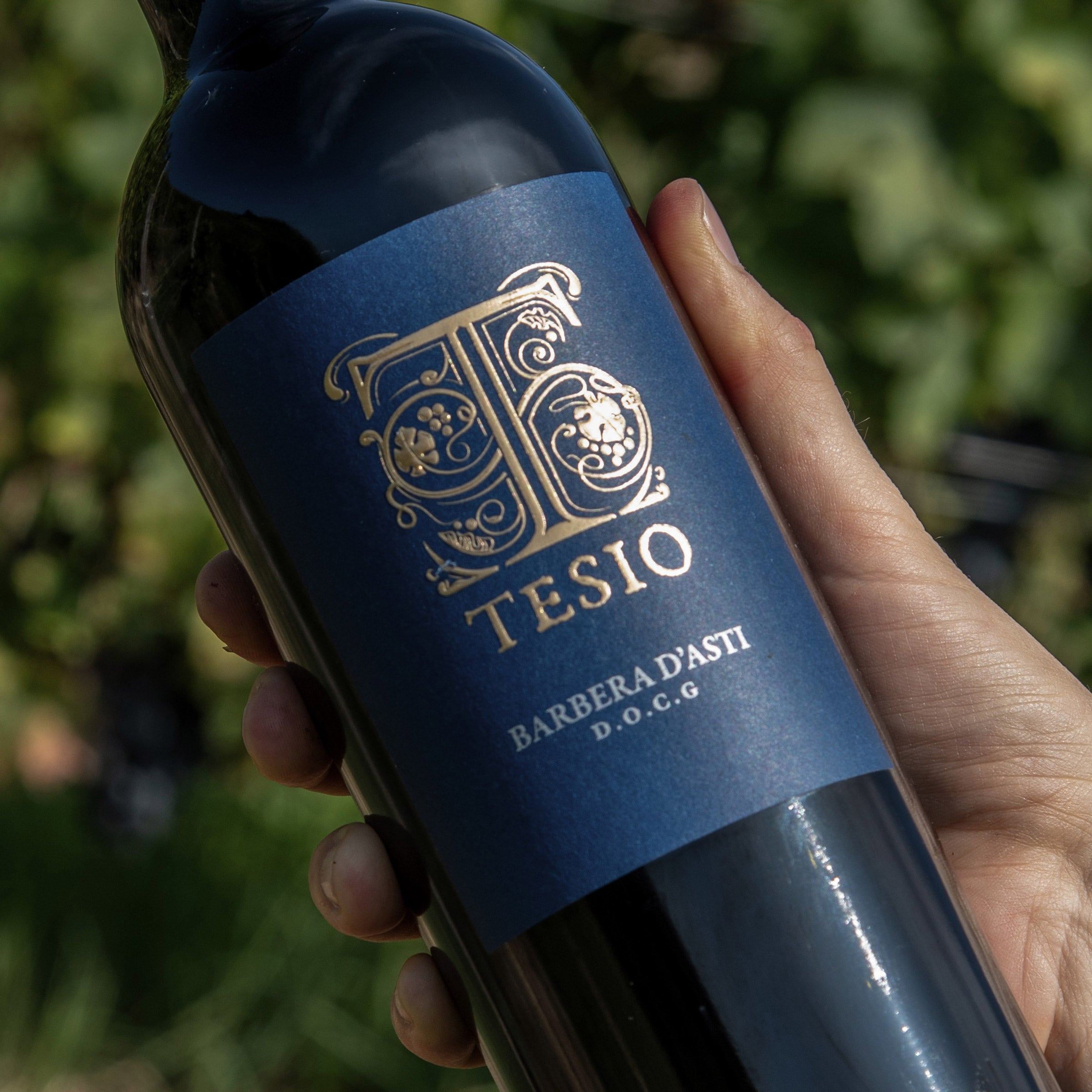 Barbera d’Asti DOCG