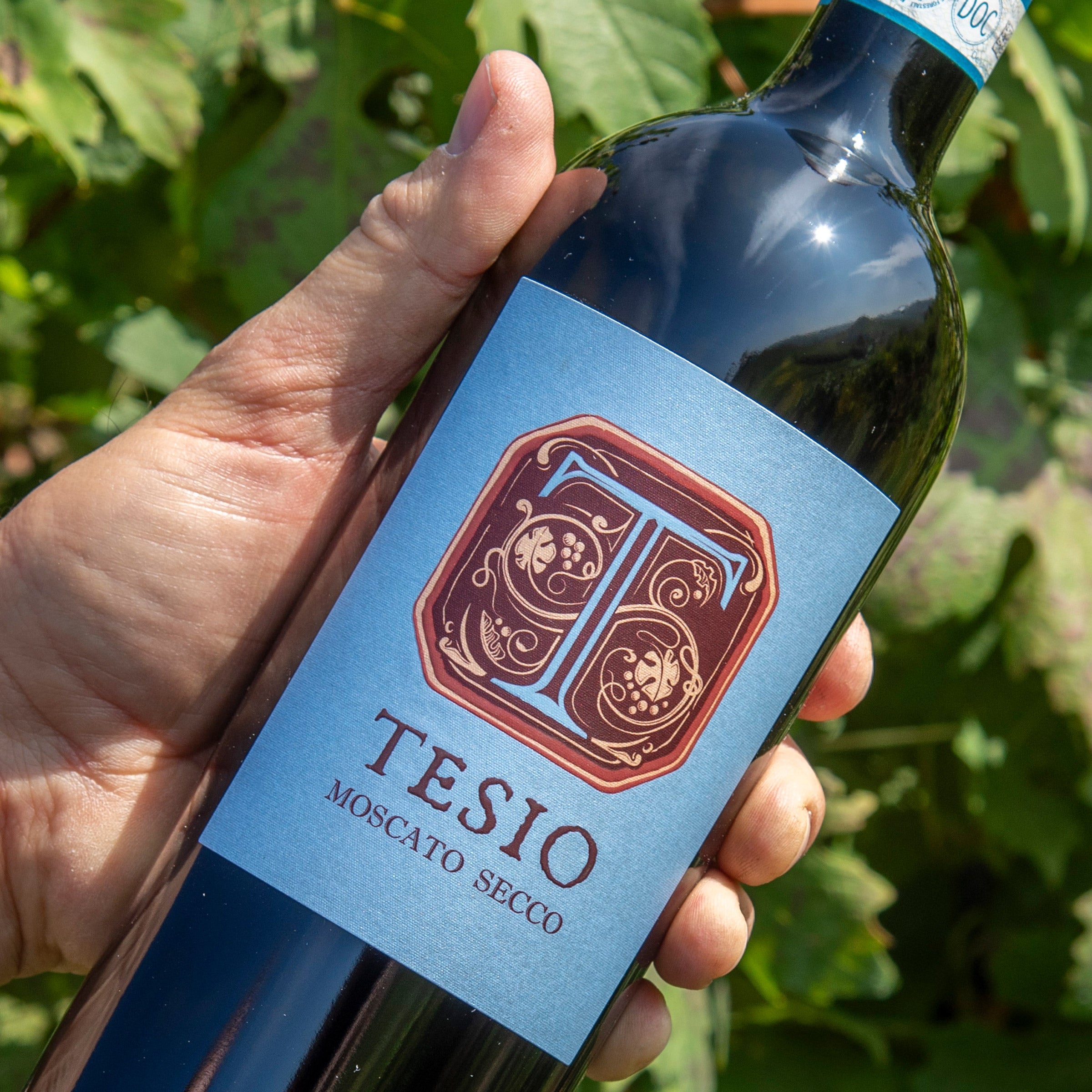 Moscato secco - Poderi Tesio