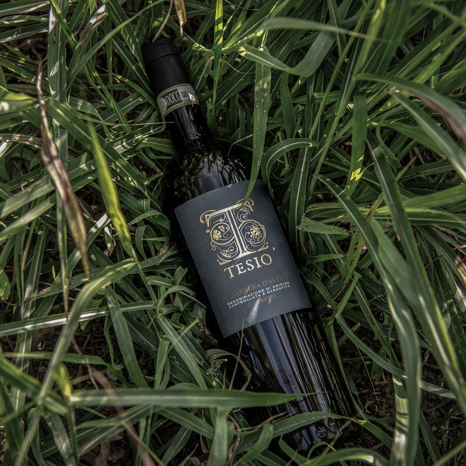 Barbera d'Asti Superiore Poderi Tesio