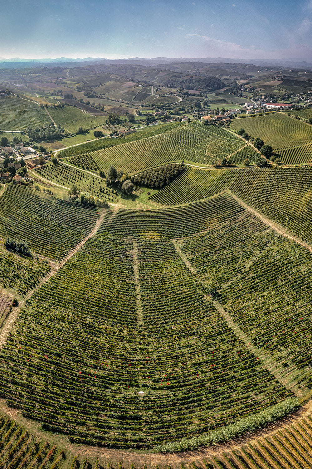 Poderi Tesio: A family wine affair