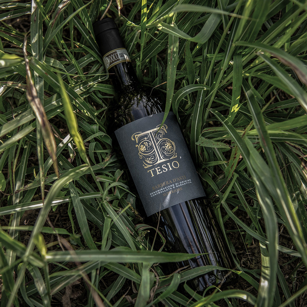 Segui Poderi Tesio sui social!