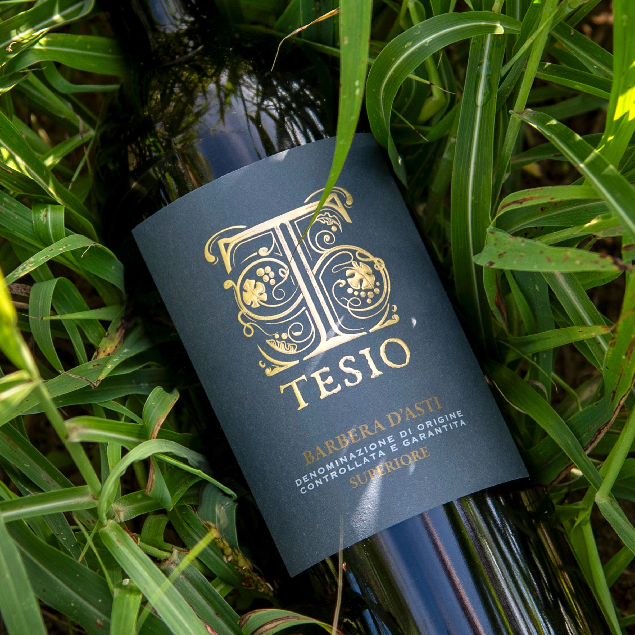 Barbera d'Asti Superiore DOCG - Poderi Tesio