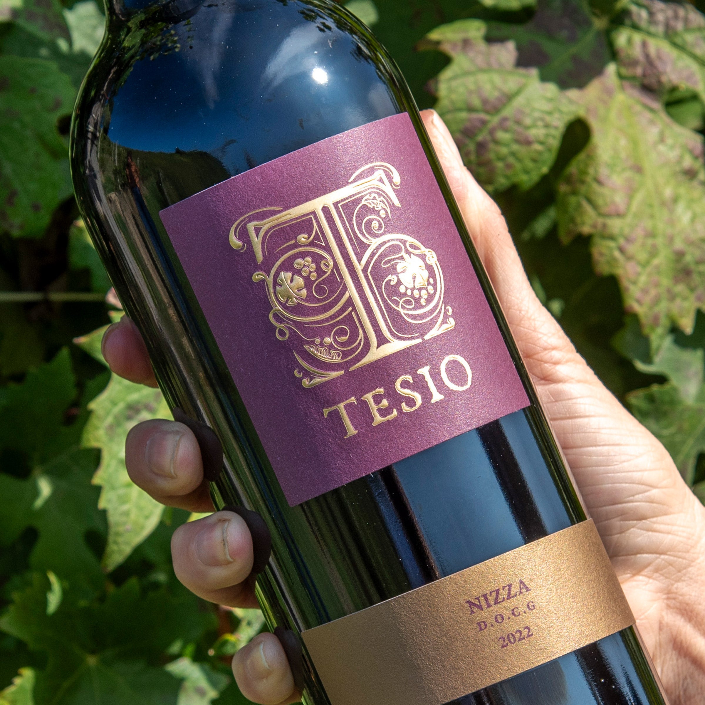 Nizza DOCG - Poderi Tesio