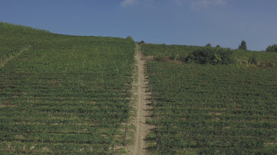 Poderi Tesio: A family wine affair