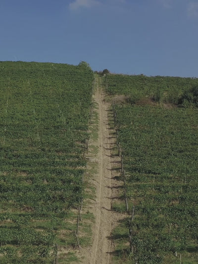 Poderi Tesio: A family wine affair